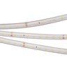 Лента светодиодная RTW 2-5000PS 24V Warm3500 (2835, 80 LED/m, LUX) (Arlight, 6 Вт/м, IP67)