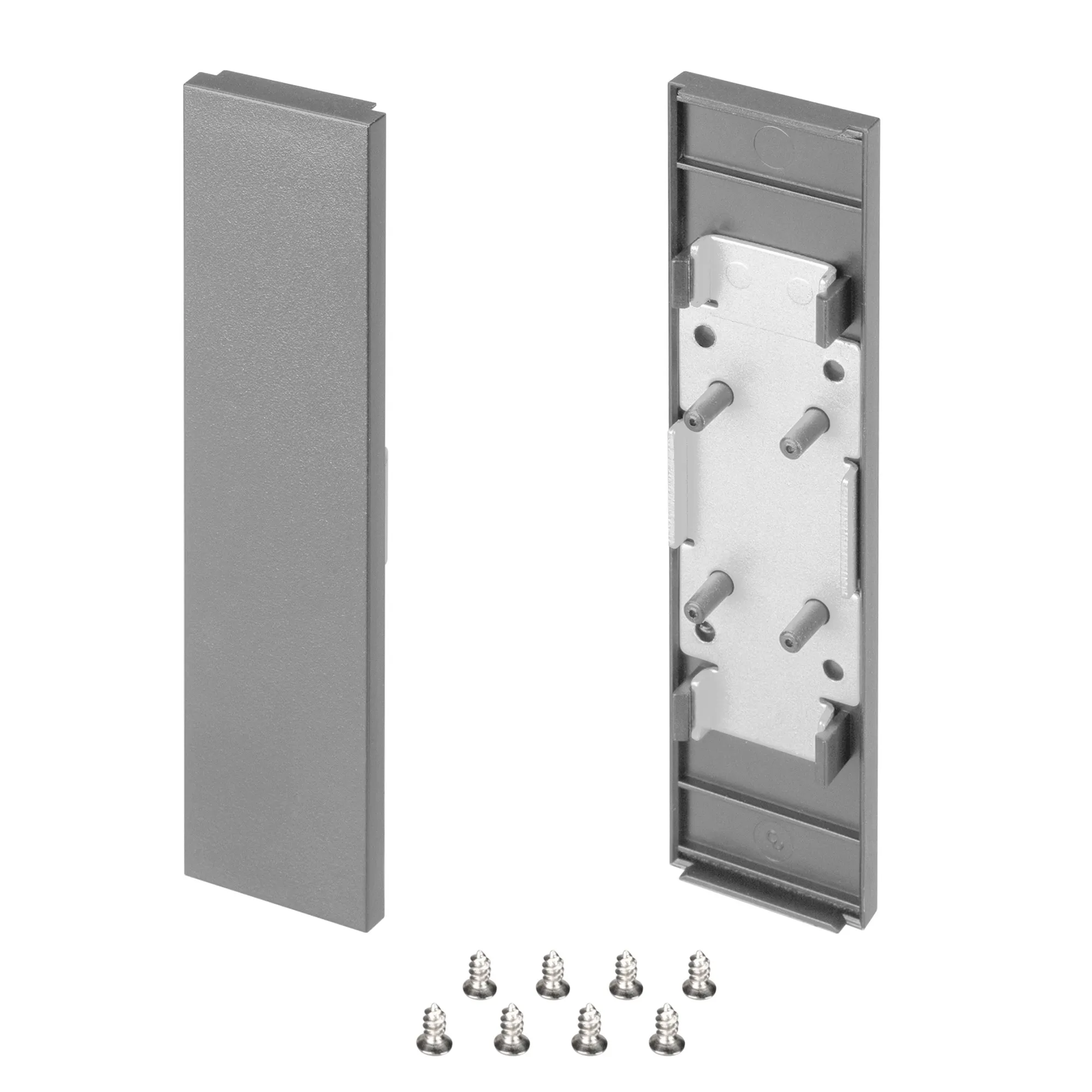 Заглушка SL-LINE-25100-DUAL SILVER глухая (Arlight, Пластик) - изображение товара